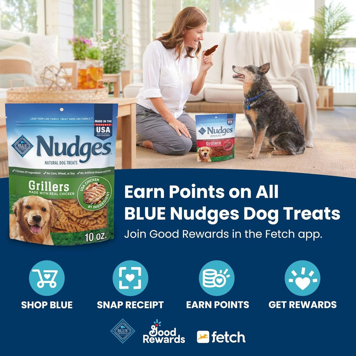Blue Buffalo Nudges Grillers Natural Dog Treats, Made in the USA with Real Steak, 16-oz Bag