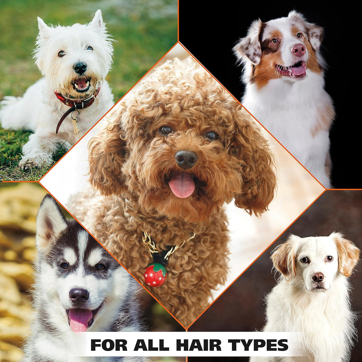 Wahl USA 4-in-1 Calming Dog Shampoo with Lavender Chamomile Scent – Cleans, Conditions, Detangles, & Moisturizes - Pet Friendly Formula - 24 Oz - Model 820000A